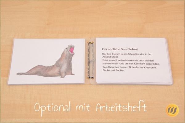 antarktis_optional