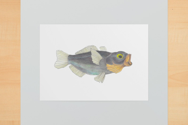 Digitaler Kunstdruck A6