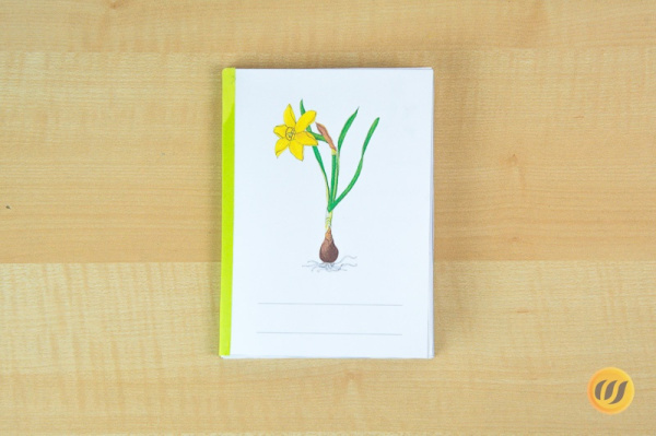 Download-Paket: Frühblüher