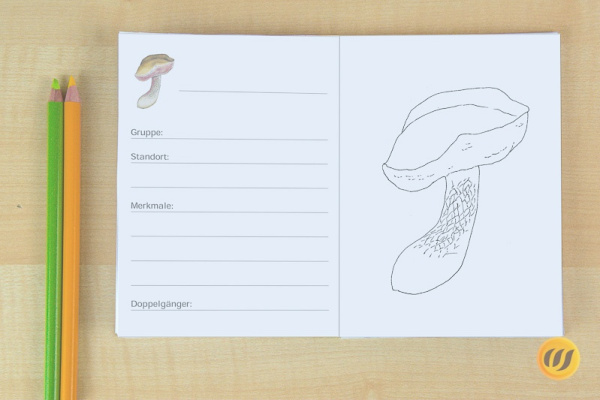 arbeitsheft_pilze2