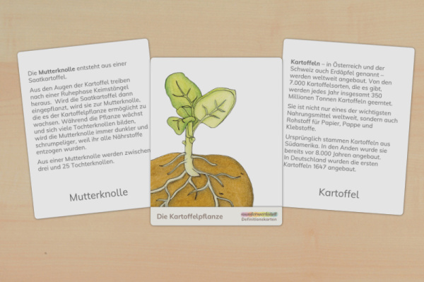 Download-Paket: Kartoffel
