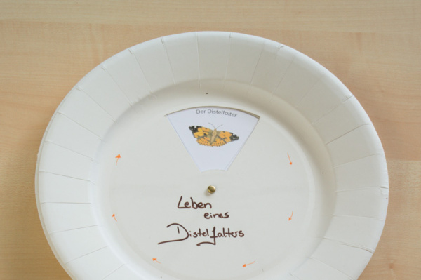 drehkreis_distelfalter