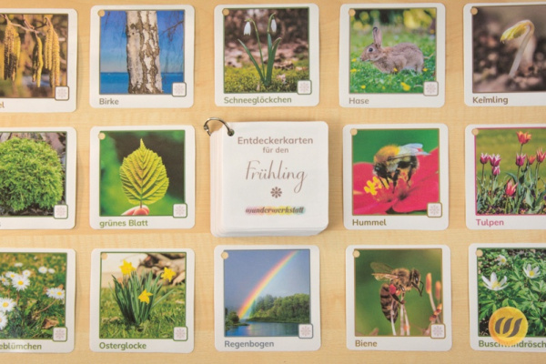 ek_fruehling_10
