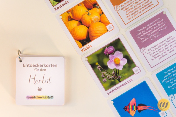 ek_herbst_mit