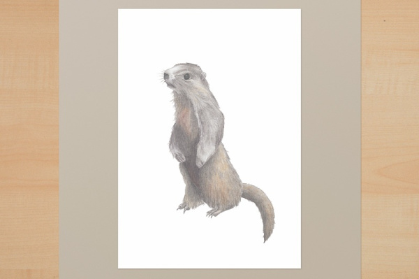Digitaler Kunstdruck A5