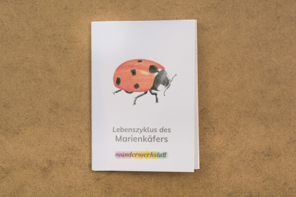faltbuechlein_marienkaefer_1618555771