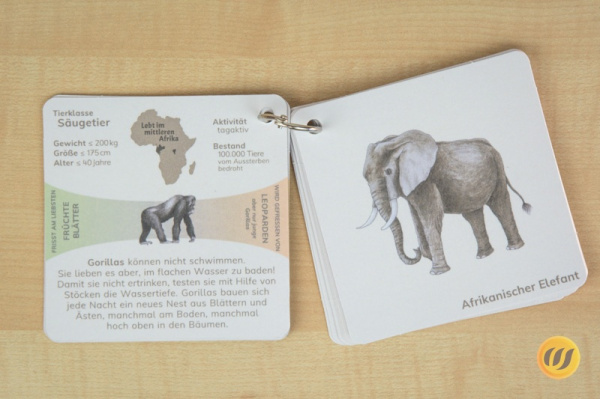 forscher_afrika_druck3
