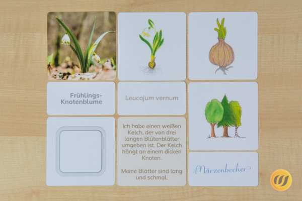 fruehblueher_werkstatt1