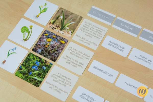 fruehblueher_werkstatt6