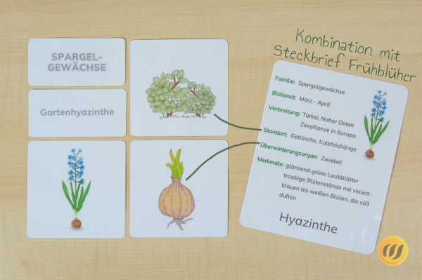 fruehblueher_werkstatt9