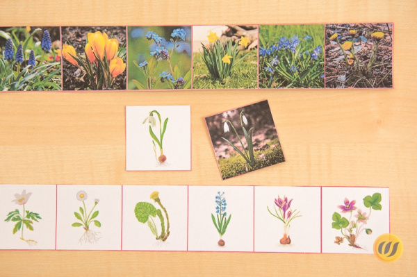 Download-Paket: Frühling