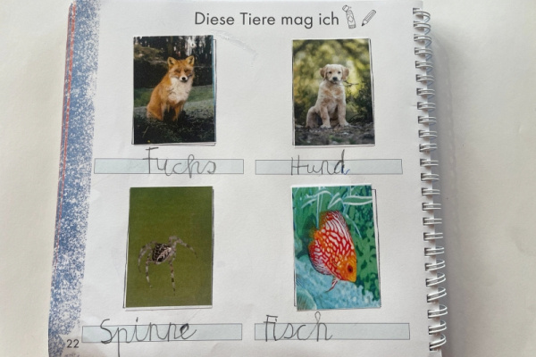 (Schulausgangsschrift)