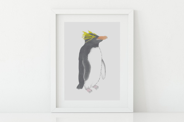 goldschopfpinguin2