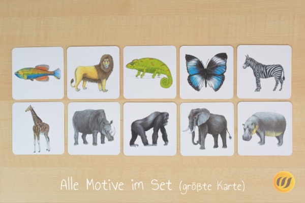 groessen_afrika_druck10