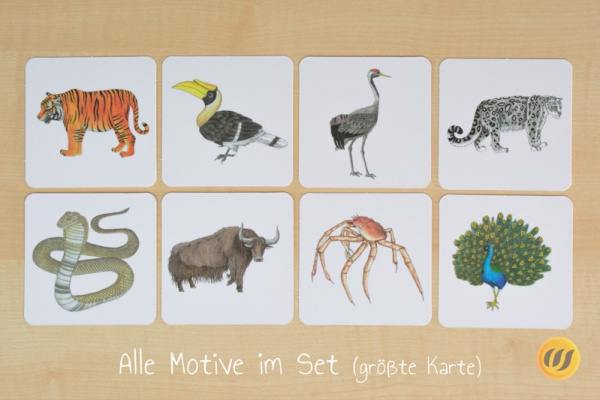 groessen_asien_druck9