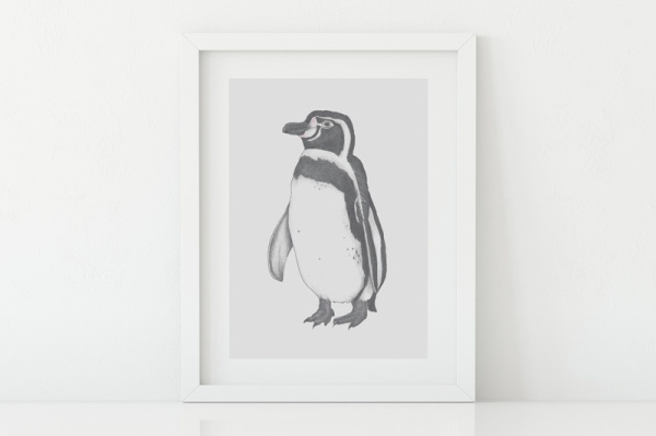 humboldtpinguin2