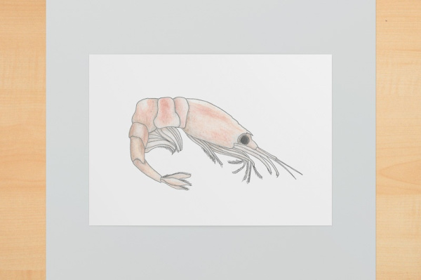 Digitaler Kunstdruck A6