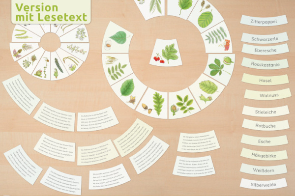 legekreis_laub_textversion2