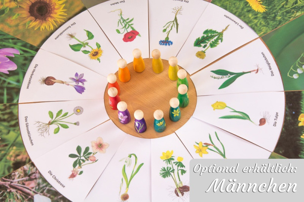 (24 Blumen mit Monatsring - Deutsch - Profidruck)