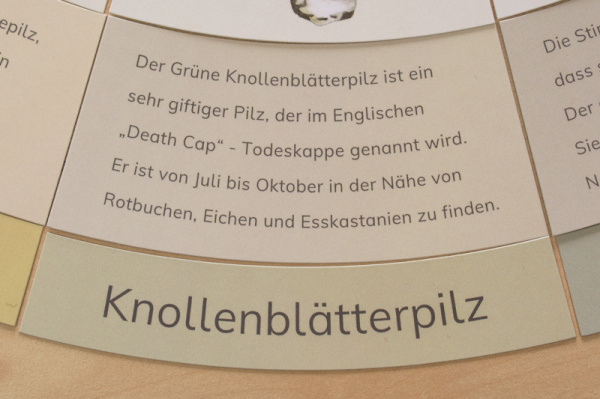(Profidruck - Deutsch)