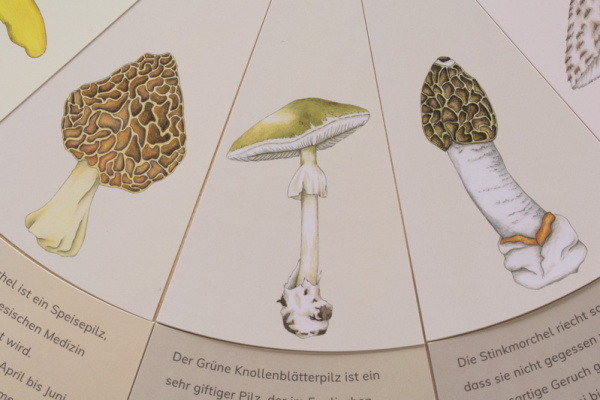 (Profidruck - Deutsch)