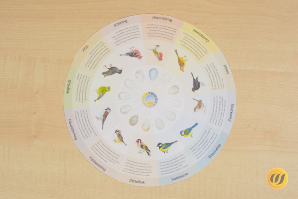 Download-Paket: Heimische Vögel