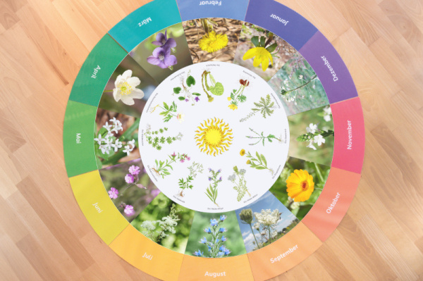 (24 Blumen mit Monatsring - Deutsch - Profidruck)