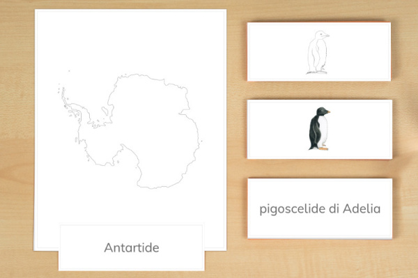 legematerial_antarktika_italienisch