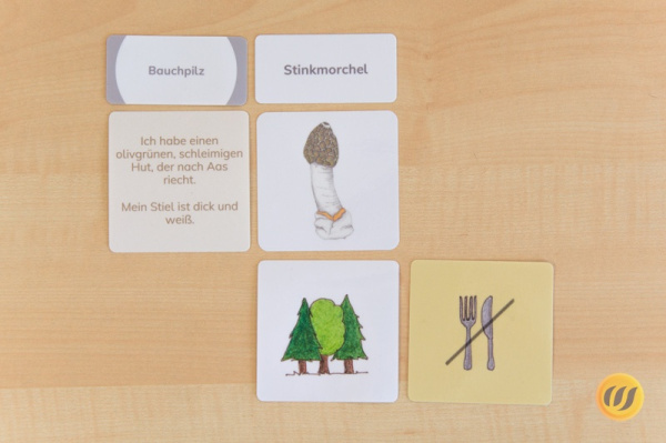 legematerial_pilze4