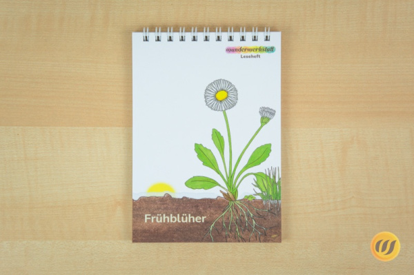 Paket Frühlingslesehefte  - illustriert