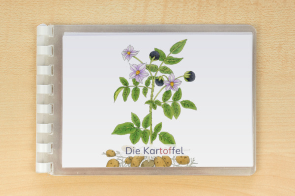 leseheft_kartoffel_silben_1
