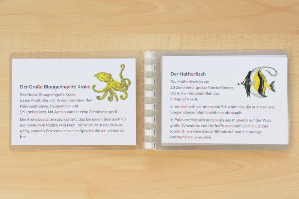 leseheft_korallenriff_silben_4