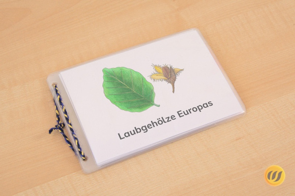 Download-Paket: Laubgehölze