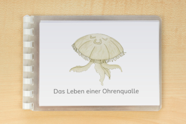 (Deutsch - Druckschrift -  Download)