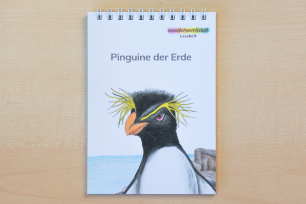 (Profidruck mit Spiralbindung - Druckschrift)