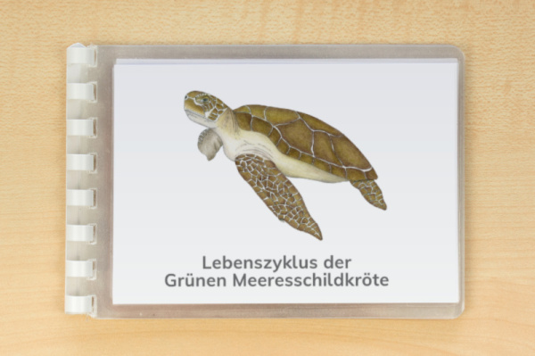 (Deutsch - Druckschrift -  Download)
