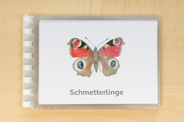 leseheft_schmetterlinge_download