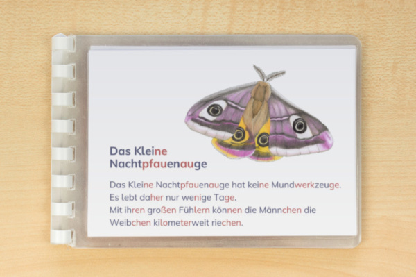 leseheft_schmetterlinge_silben3
