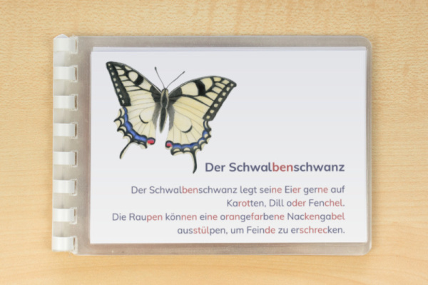 leseheft_schmetterlinge_silben5