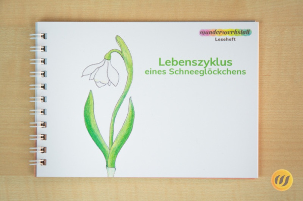 Paket Frühlingslesehefte  - illustriert