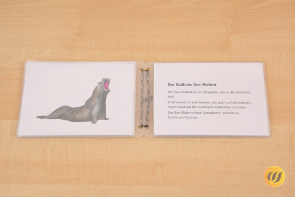 Download-Paket: Tiere der Antarktis
