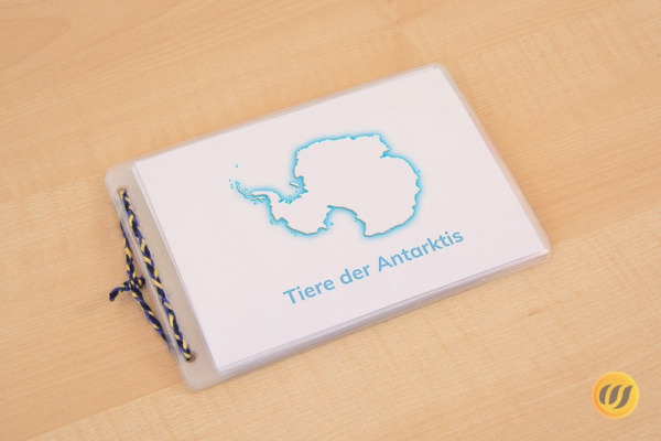 leseheft_tiere_antarktis_down_titel