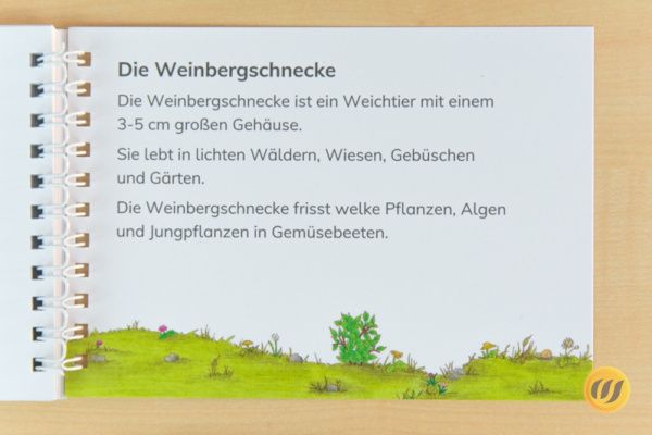 (Profidruck mit Spiralbindung - 4. Auflage)