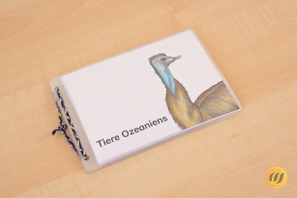 Download-Paket: Tiere Ozeaniens