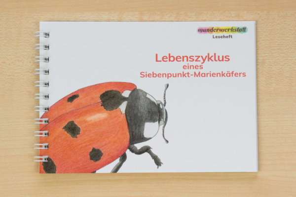 Leseheft: Lebenszyklus eines Siebenpunkt-Marienkäfers - illustriert