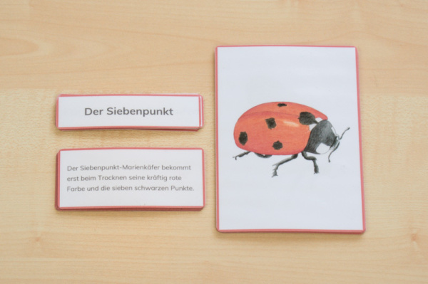 (Deutsch - roter Rahmen - Download)