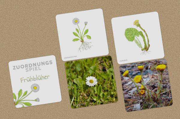 Großes Themenkisten-Paket (6 Themenkisten)