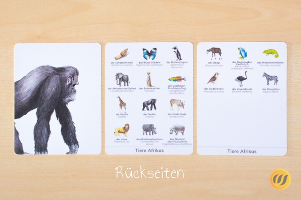 nomen_afrika_druck8