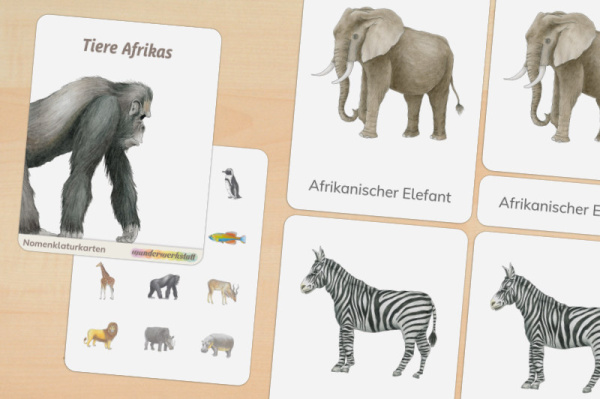 nomen_afrika_druck_a