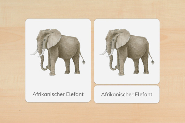 nomen_afrika_druck_f